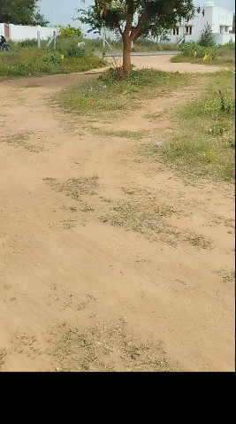  3573 Sq.ft. Residential Plot for Sale in Palani, Dindigul