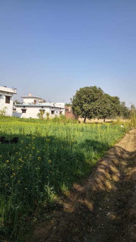  13800 Sq. Yards Warehouse for Sale in Afzalgarh, Bijnor