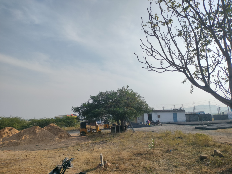  500000 Cent Residential Plot for Sale in Dhone, Kurnool
