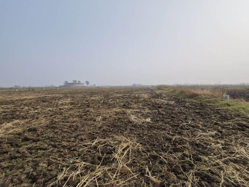  60000 Sq.ft. Industrial Land for Sale in Beldari Chak, Patna