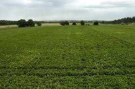 Agricultural Land for Sale in Jai Narayan Vyas Colony, Bikaner