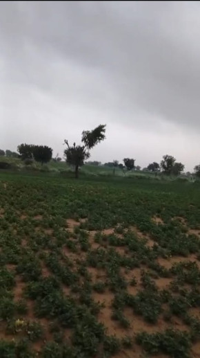  400 Bigha Agricultural/Farm Land for Sale in Kolayat, Bikaner