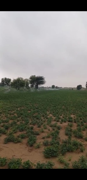  110 Sq.ft. Agricultural/Farm Land for Sale in Kolayat, Bikaner