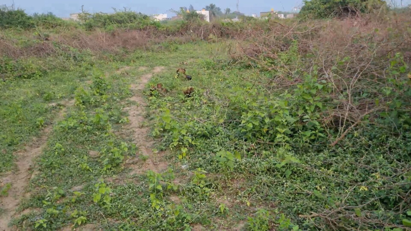  164 Cent Residential Plot for Sale in Manali, Thiruvallur