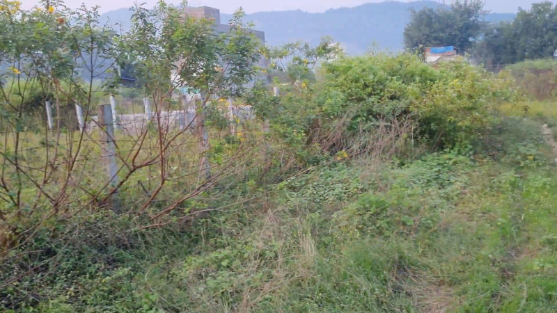  164 Cent Residential Plot for Sale in Manali, Thiruvallur