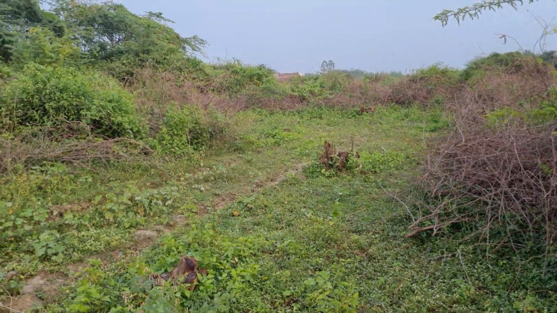  164 Cent Residential Plot for Sale in Manali, Thiruvallur