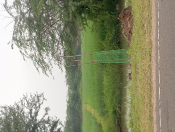  Agricultural Land for Sale in Uthirakosamangai, Ramanathapuram