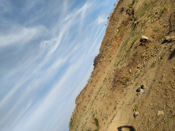  Commercial Land for Sale in Mhasrul Gaon, Nashik