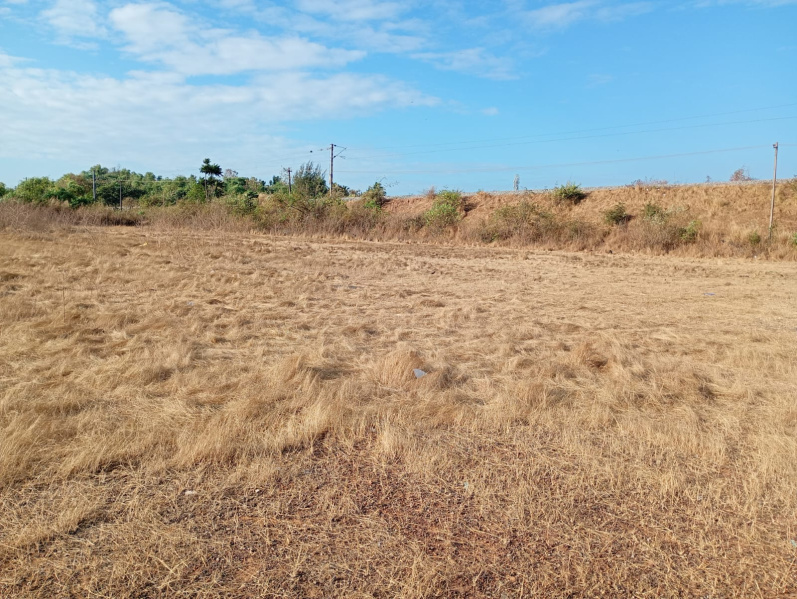  60 Guntha Residential Plot for Sale in Murdeshwar, Uttara Kannada