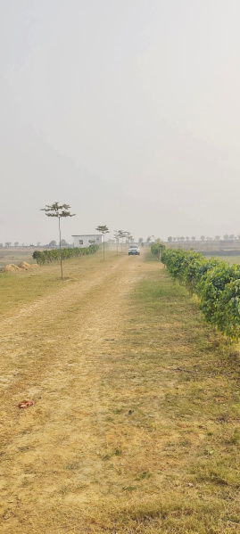  1000 Sq.ft. Residential Plot for Sale in Fertilizer Colony, Gorakhpur