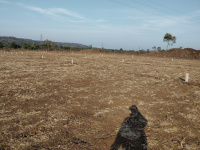Agricultural Land for Sale in Hingna, Nagpur