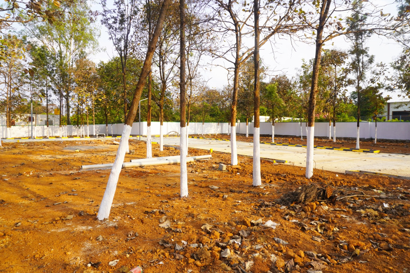  10890 Sq.ft. Commercial Land for Sale in Sarjapur Road, Bangalore