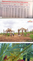  Residential Plot for Sale in Narayankhed, Sangareddy