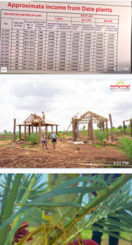  Residential Plot for Sale in Narayankhed, Sangareddy