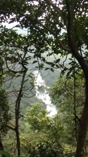  750 Cent Agricultural/Farm Land for Sale in Kumily, Idukki