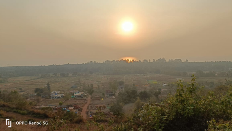  180 Guntha Agricultural/Farm Land for Sale in Chiplun, Ratnagiri