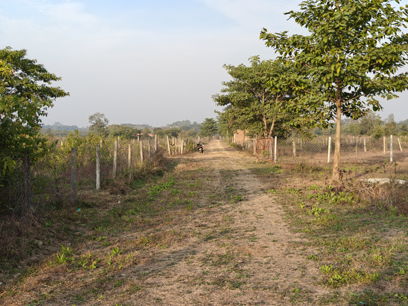 1 BHK 3500 Sq.ft. Farm House for Sale in Tilwara, Jabalpur