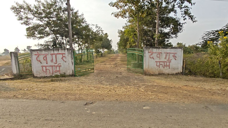 1 BHK 3500 Sq.ft. Farm House for Sale in Tilwara, Jabalpur