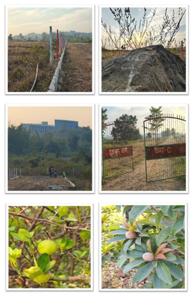 1 BHK 3500 Sq.ft. Farm House for Sale in Tilwara, Jabalpur