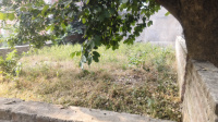  Residential Plot for Sale in Shantipuram, Allahabad