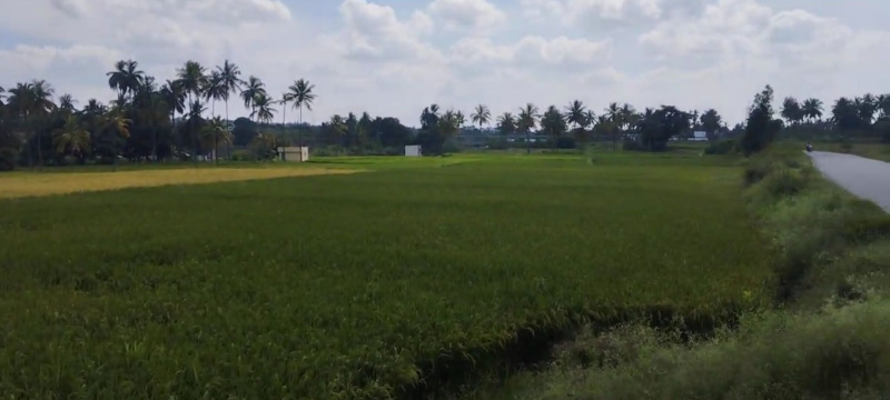  1 Acre Agricultural/Farm Land for Sale in Hosur Taluk, Krishnagiri