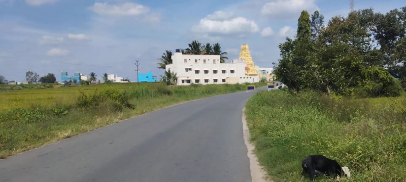  1 Acre Agricultural/Farm Land for Sale in Hosur Taluk, Krishnagiri