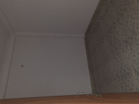 3 BHK House for Rent in Kalli Paschim, Lucknow