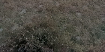  Residential Plot for Sale in Bally, Kolkata