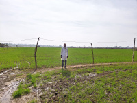  Agricultural Land for Sale in Jabera, Damoh