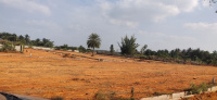 Residential Plot for Sale in Hejjala, Bangalore