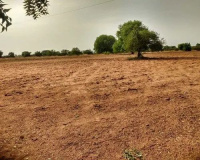 Agricultural Land for Sale in Veldanda, Mahabubnagar, Hyderabad