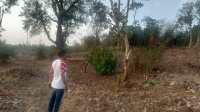  Industrial Land for Sale in Sayli Road, Silvassa