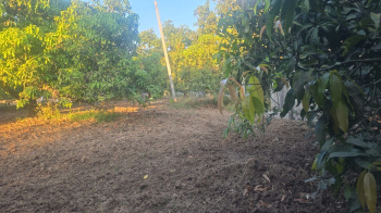  Agricultural Land for Sale in Umbergaon, Valsad