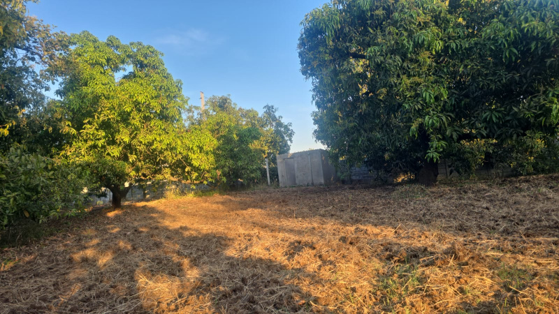 Umbergaon, Valsad photo 3