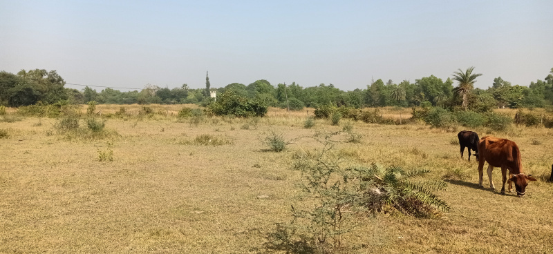 Sarigam, Vapi photo 2