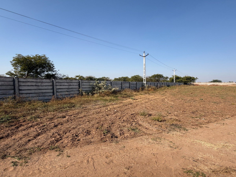  66840 Sq.ft. Industrial Land for Rent in Bareja, Ahmedabad