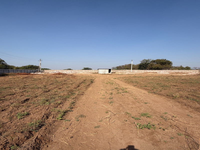  66840 Sq.ft. Industrial Land for Rent in Bareja, Ahmedabad