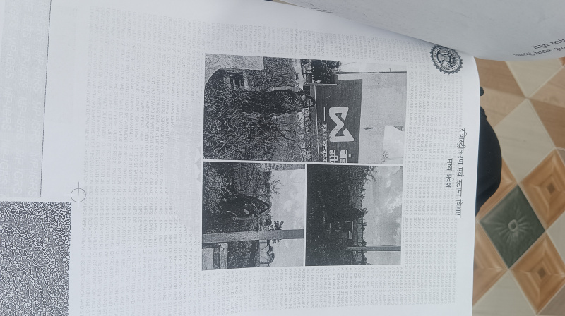  500 Sq.ft. Residential Plot for Sale in Biaora, Rajgarh