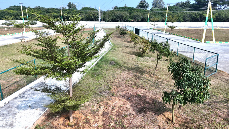  1200 Sq.ft. Residential Plot for Sale in Hoskote, Bangalore
