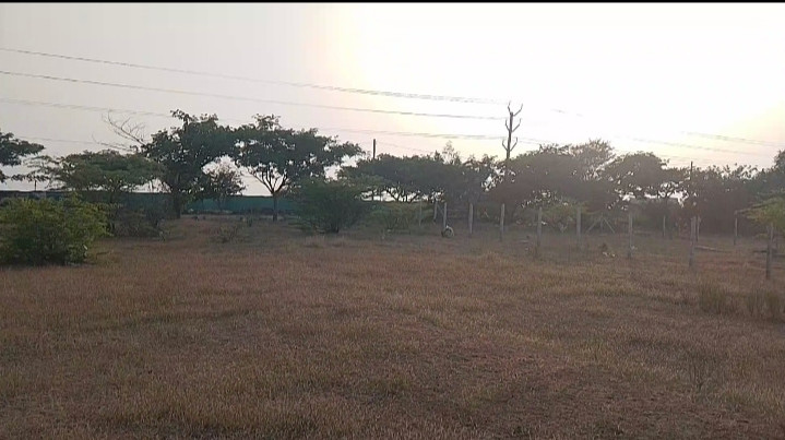  16 Cent Agricultural/Farm Land for Sale in Kothacheruvu, Anantapur