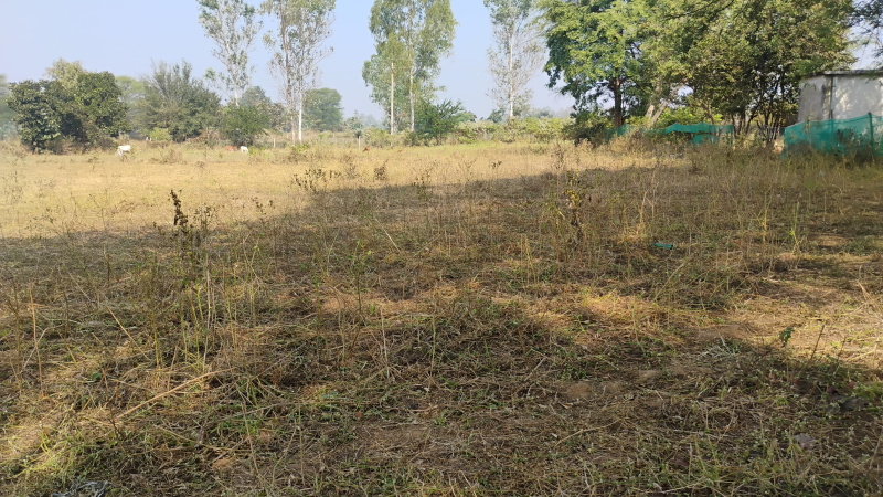  21743 Sq.ft. Residential Plot for Sale in Jagdalpur, Bastar