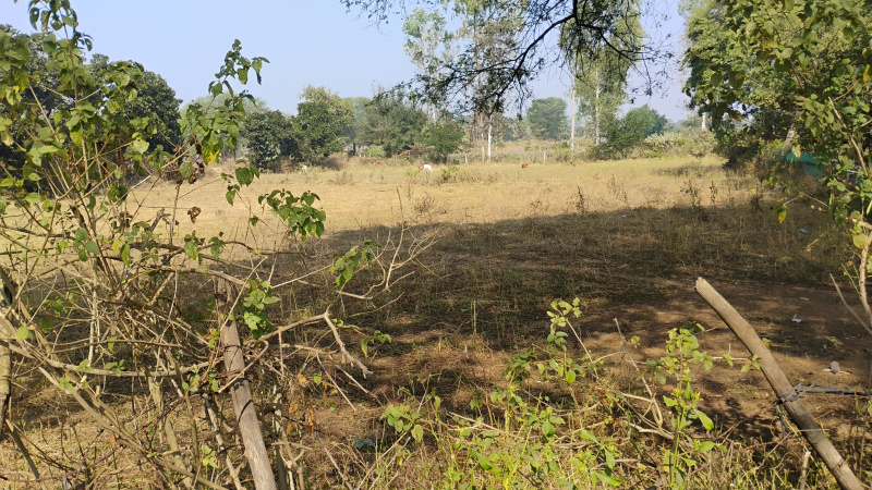  21743 Sq.ft. Residential Plot for Sale in Jagdalpur, Bastar