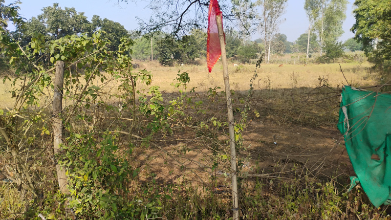  21743 Sq.ft. Residential Plot for Sale in Jagdalpur, Bastar