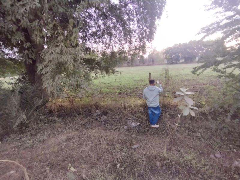  80 Dismil Commercial Land for Sale in Hatkachora, Bastar