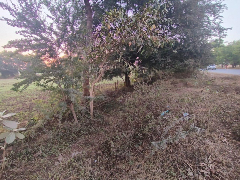  80 Dismil Commercial Land for Sale in Hatkachora, Bastar