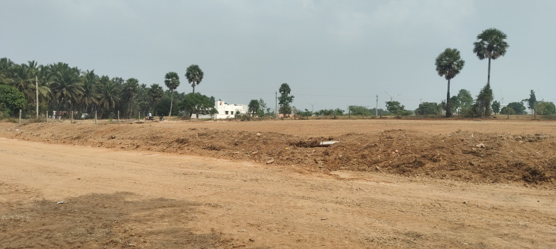  130681 Sq.ft. Industrial Land for Sale in Chettipalayam, Coimbatore