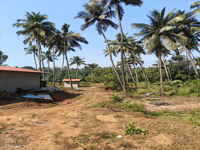  272 Sq. Meter Residential Plot for Sale in Valpoi, Goa