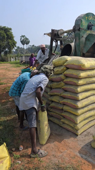 Residential Plot for Sale in Dakamarri, Visakhapatnam