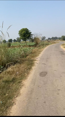  762300 Sq.ft. Agricultural/Farm Land for Sale in Naugaon, Alwar