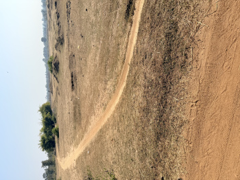  Agricultural Land for Sale in Katangi, Balaghat